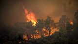 Waldbrände auf der griechischen Ferieninsel Rhodos