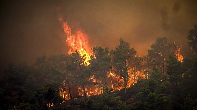 Waldbrände auf der griechischen Ferieninsel Rhodos
