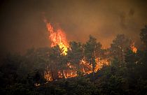Yunanistan'a bağlı Rodos Adası'nda son altı gündür devam eden orman yangınları nedeniyle şu ana kadar 19 bin kişi tahliye edildi