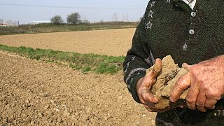 Agricultor grego segura pedaço de solo afetado pela seca (arquivo)