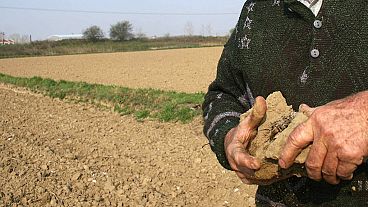 Farmers and producers on the island of Kos face difficulties due to climate change.