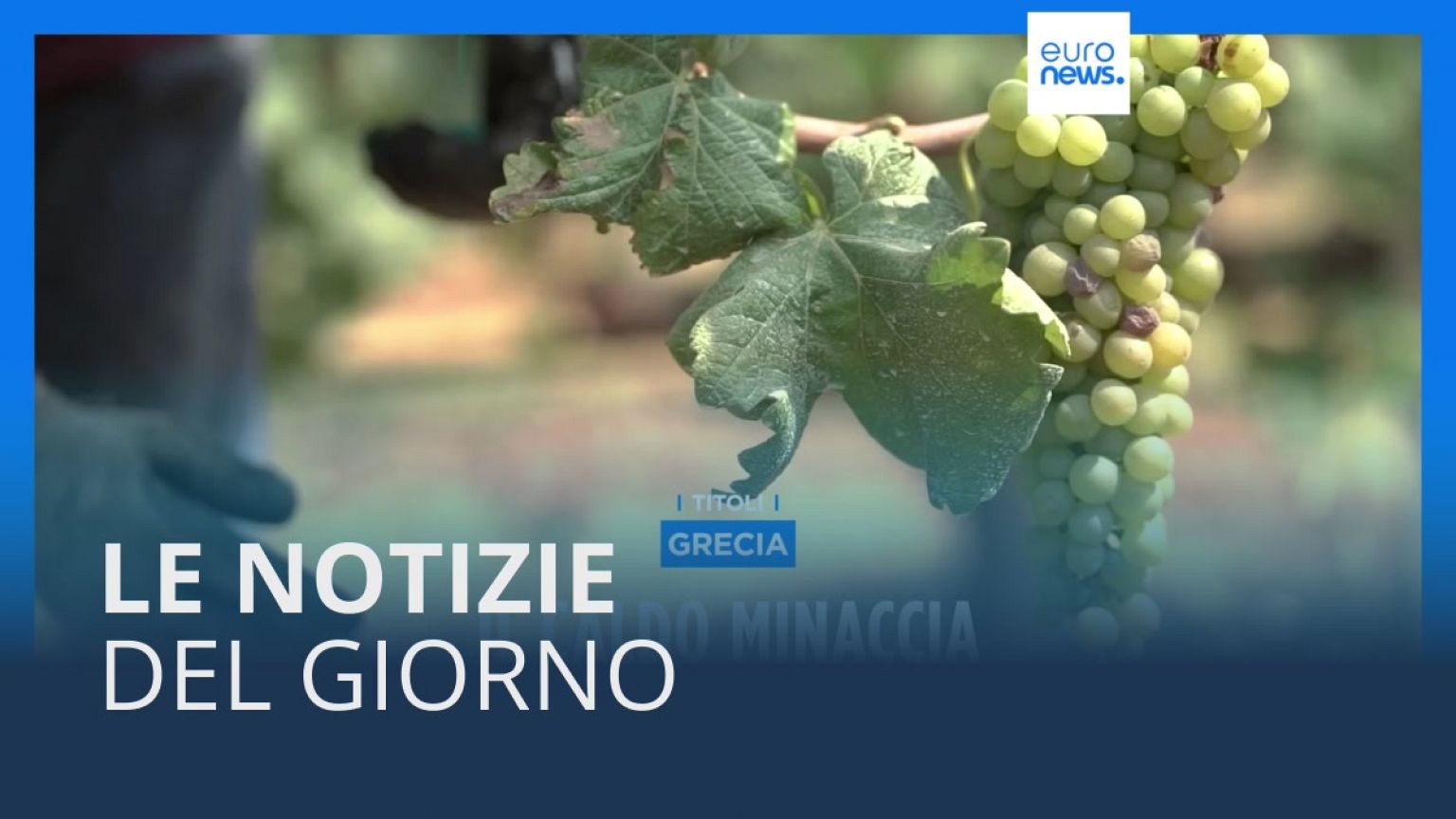 Le notizie del giorno | 24 luglio - Serale
