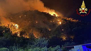 Ein Waldbrand wütet nahe Messina auf Sizilien am 24. Juli 2023