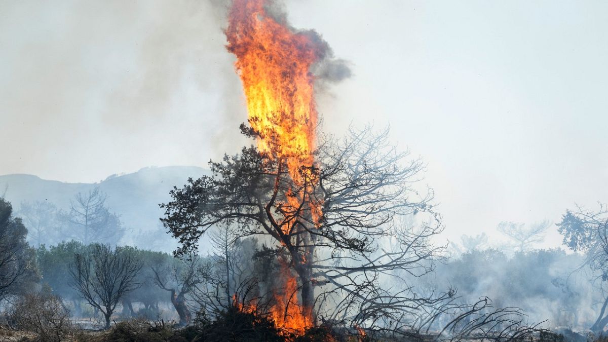 حرائق الغابات في جزيرة رودس، جنوب شرق اليونان.