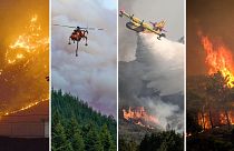 حرائق غابات تشتعل في دول مختلفة من العالم موقعة خسائر بشرية ومادية.