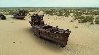 La apuesta por plantas y agua para restaurar el ecosistema y velar por la salud del mar de Aral
