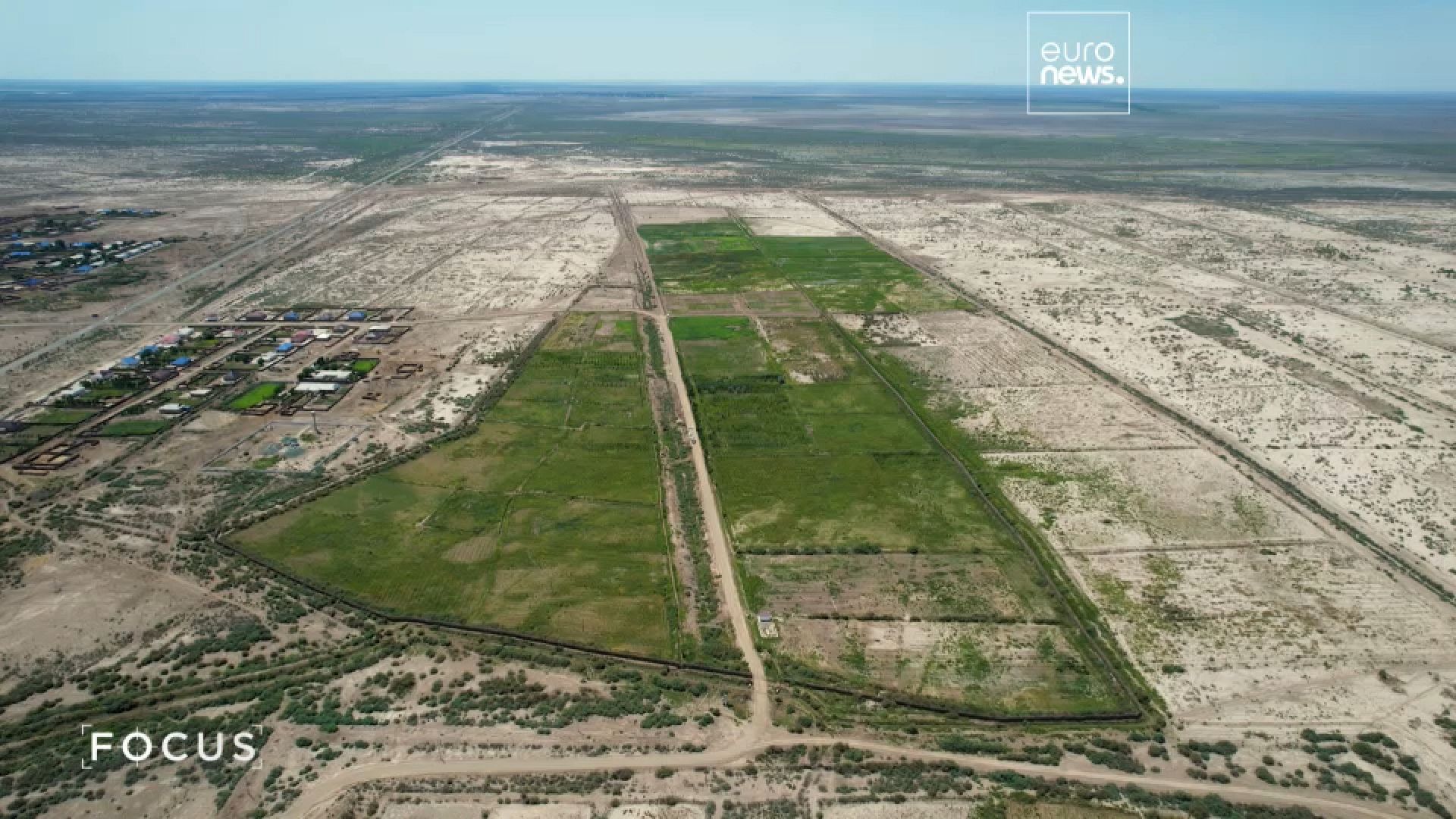 Миллион деревьев на дне обмелевшего Арала? Узбекистан делает ставку на ...