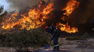 Yunanistan'da orman yangınları
