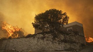 A local reacts as the flames burn trees in Gennadi village, on the Aegean Sea island of Rhodes, southeastern Greece, on Tuesday, July 25, 2023.