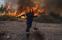 Πυροσβέστης δίνει μάχη με τις φλόγες στην πρόσφατη πυρκαγιά της Ρόδου