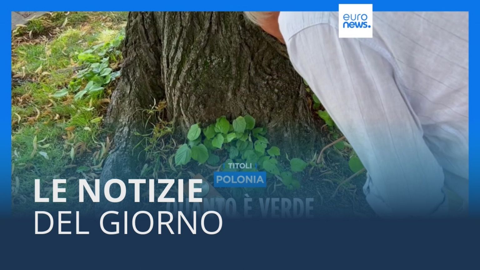 Le notizie del giorno | 26 luglio - Pomeridiane