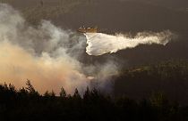 Combate aos incêndios no sul da Europa tem sido dificultado por altas temperaturas e ventos fortes