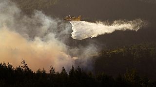 Combate aos incêndios no sul da Europa tem sido dificultado por altas temperaturas e ventos fortes
