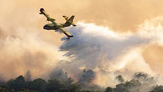 Un avión de bomberos rocía agua para extinguir un incendio forestal en la isla de Ciovo, Croacia, jueves 27 de julio de 2023.