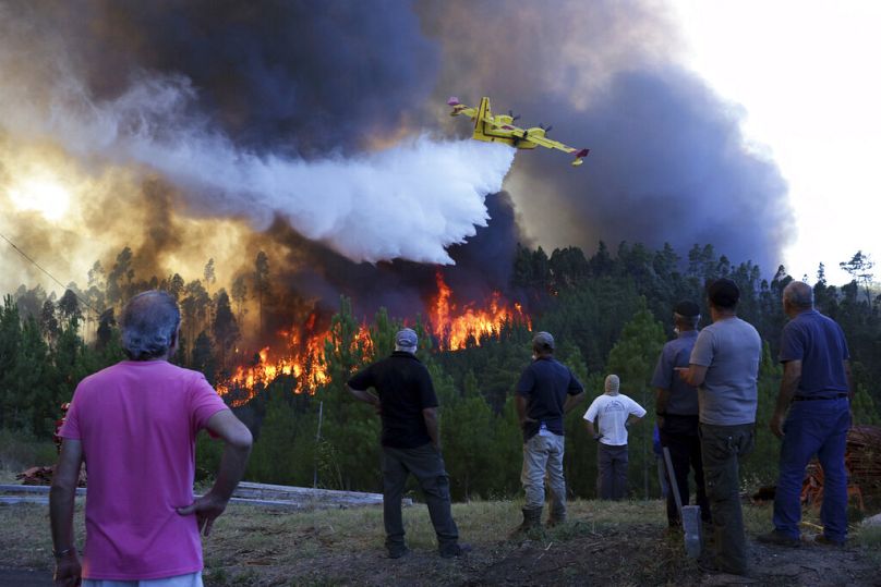 Protection des forêts contre l'incendie 2020 : adoptez les bons gestes