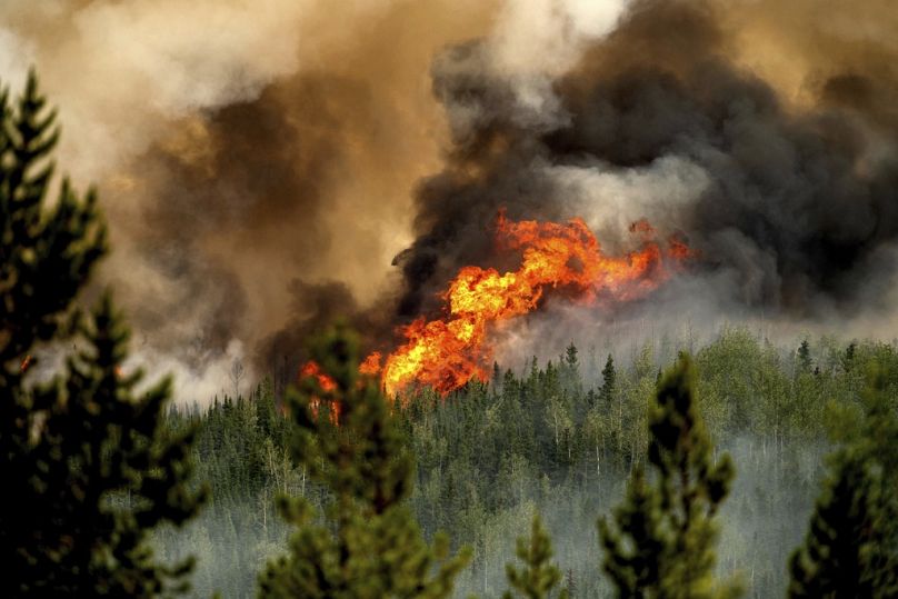 Flames from the Donnie Creek wildfire burn along a ridge top north of Fort St. John, British Columbia, Canada.