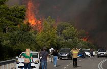 A fire burns trees beside a road through the village of Agia Sotira near Athens, on 18 July 2023.