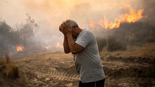 Местный житель реагирует на то, как пламя сжигает деревья в деревне Геннади на острове Родос в Эгейском море, юго-восточная Греция, 25 июля.