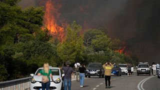 A fire burns trees beside a road through the village of Agia Sotira near Athens, on 18 July 2023.