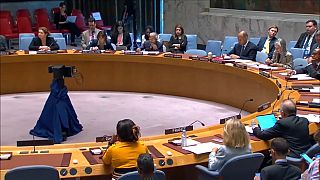 Sahel : la CEDEAO demande le soutien du Conseil de sécurité de l'ONU