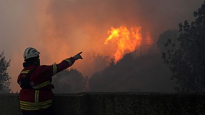 Até 15 de agosto apenas tinham ocorrido 3.485 incêndios rurais, o número mais reduzido desde 2014