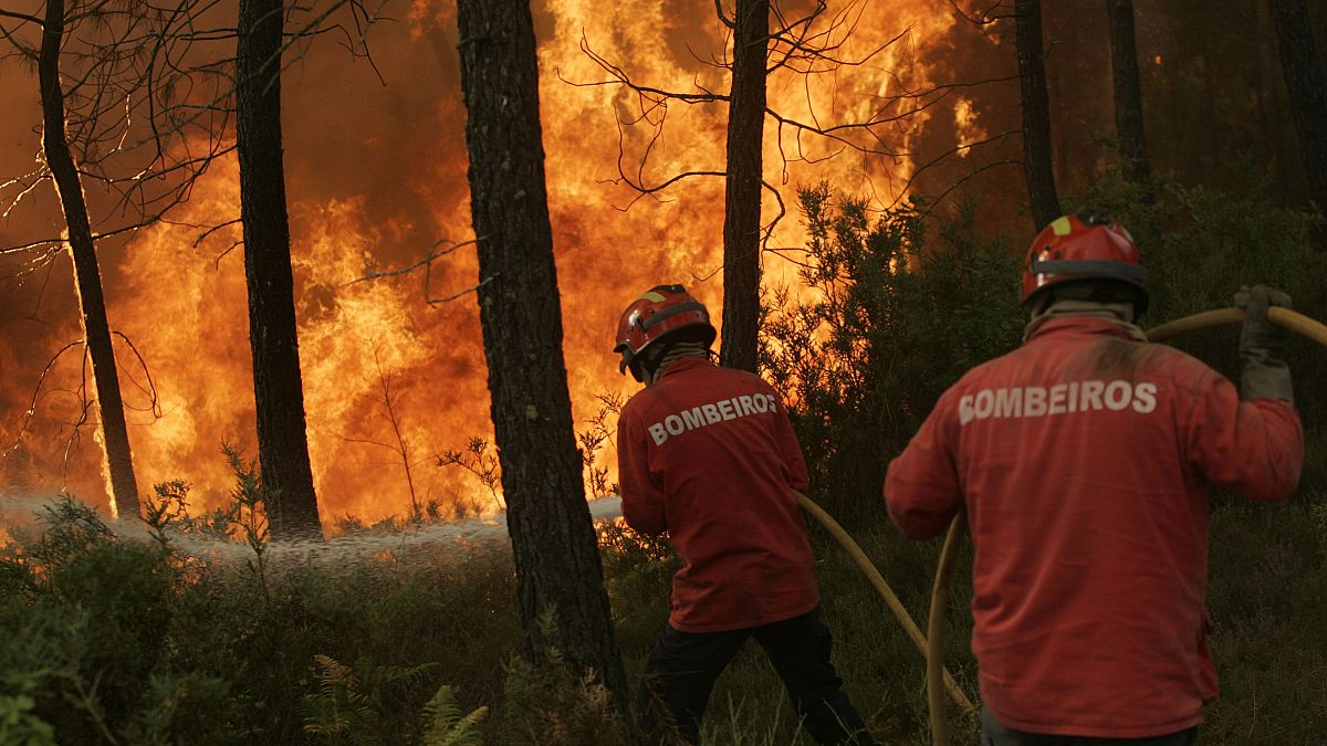 حرائق الغابات في البرتغال