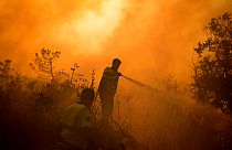 Há vários dias que os países da Bacia Mediterrânica combatem incêndios florestais