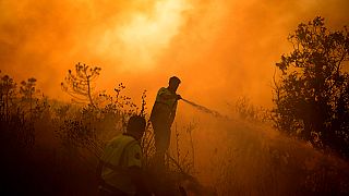 Des pompiers turcs s'efforcent d'éteindre un feu de forêt à Beykoz, dans la banlieue d'Istanbul, en Turquie, 26 juillet 2023.