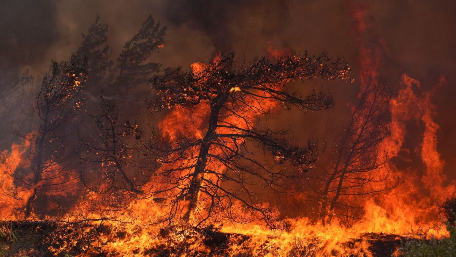 Incendios Forestales