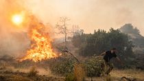 Ilias Kyriakou, 25, pulls an olive branch as a wildfire burns in Gennadi village, on the Aegean Sea island of Rhodes, southeastern Greece, 25 July 2023.