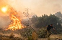 Ilias Kyriakou, 25, pulls an olive branch as a wildfire burns in Gennadi village, on the Aegean Sea island of Rhodes, southeastern Greece, 25 July 2023.