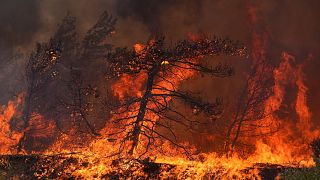 As chamas queimam uma floresta na aldeia de Vati, na ilha de Rodes, a 25 de julho de 2023.