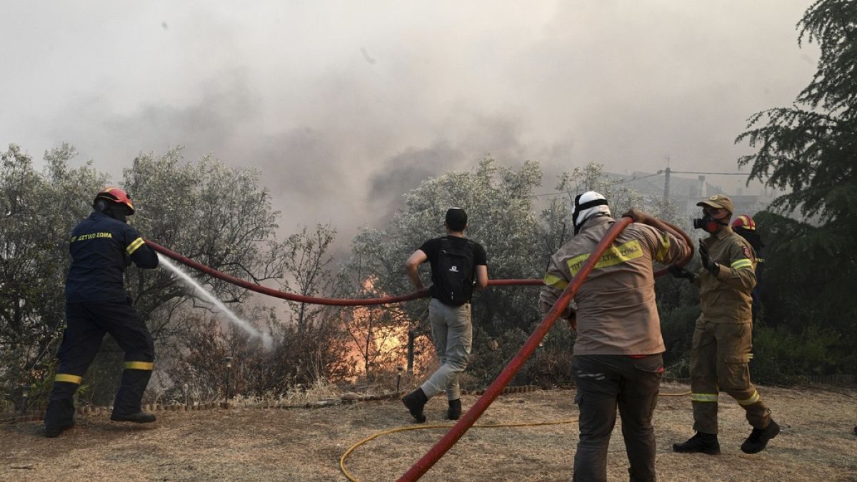 Des pompiers luttent contre les flammes en Grèce