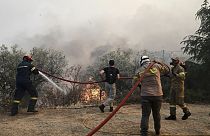 Лесные пожары бушуют в половине регионов Греции