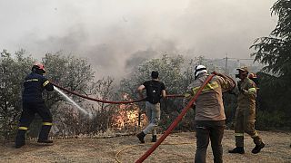Des pompiers luttent contre les flammes en Grèce