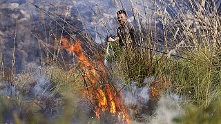 A member of anti-forest fire team puts out flames burning in Capaci, near Palermo, in Sicily, southern Italy.