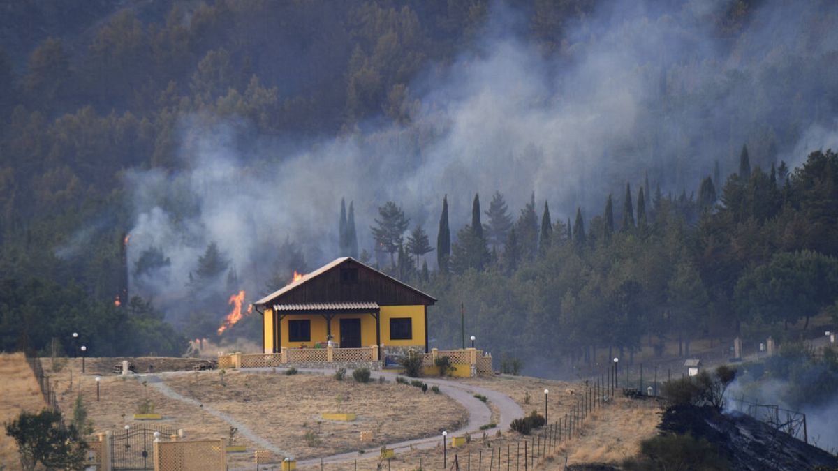 Лесной пожар недалеко от Палермо, Сицилия