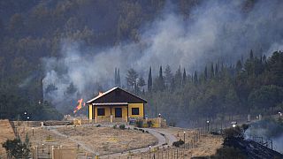 Los incendios forestales han arrasado el sur de Europa, en particular Grecia y la isla italiana de Sicilia, obligando a huir a miles de personas.