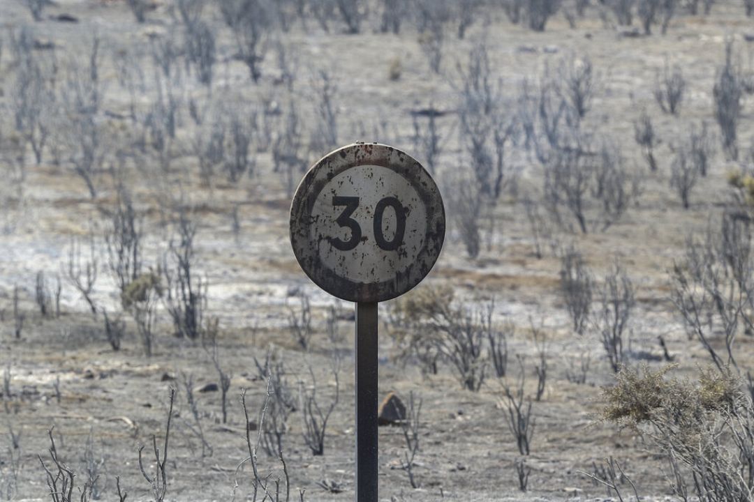 ‘The World Is On Fire’ Is A Terrible Environmental Message | Euronews