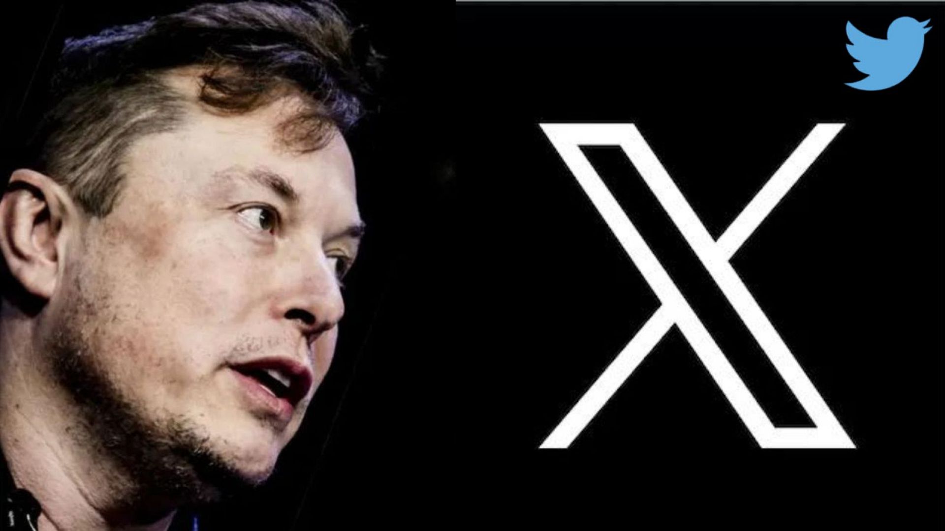 Twitter's symbolic rebranding What the XXXX does ‘X’ mean? Euronews