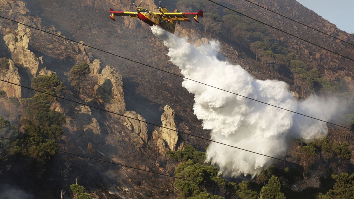 A nagyobb tüzeket megfékezték Görögországban, Itáliában még lángol a bozót