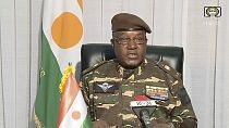 Στρατηγός Ομάρ Τσιανί, Νίγηρας