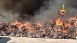 Die italienische Feuerwehr hat Aufnahmen des Brandes veröffentlicht.