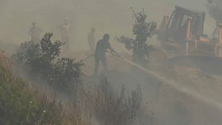 مكافحة حرائق الغابات في اللاذقية-سوريا