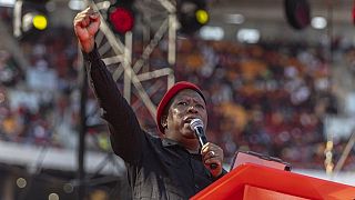 SA's radical leftist leader appeals for BRICS boycott in solidarity with Putin