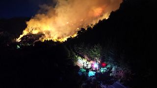 Πυροσβέστες προσπαθούν να σβήσουν φωτιά στη Χίο