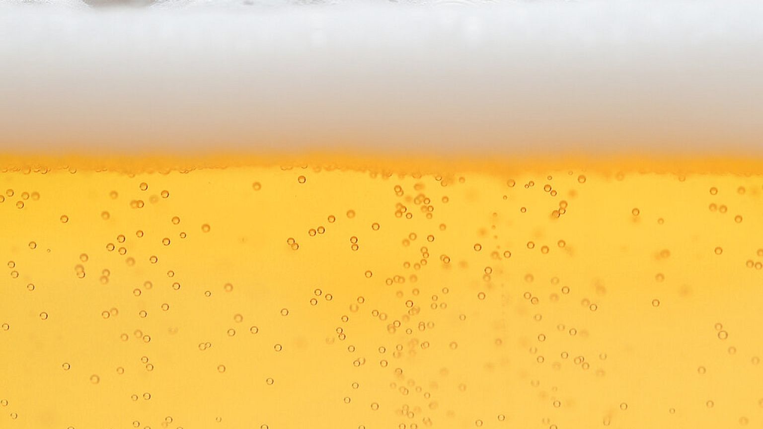 'Exploding costs': German beer sales go flat | Euronews