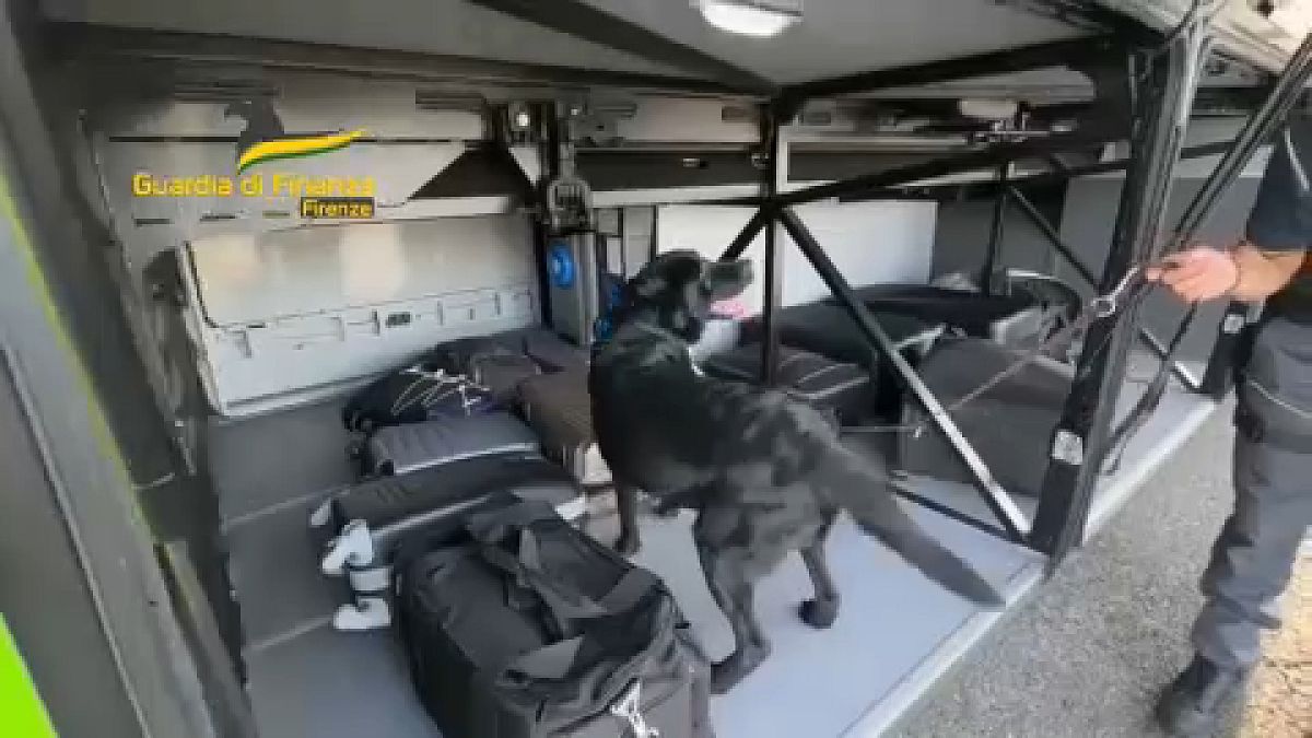El perro policía italiano que descubrió el millón de euros