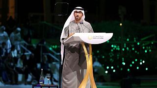 Sultan Al Jaber, chief executive of the UAE's Abu Dhabi National Oil Company (ADNOC) and president of this year's COP28 climate talks.