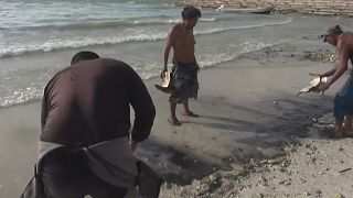 Pescadores locales limpian la playa de Lerma, en el Golfo de México.